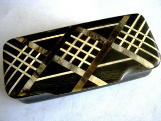 Cattle Horn Marquetry Snuff Box