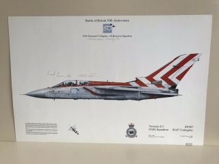 Signed Squadron Print - Raf Tornado F3 1990 Display Team Battle Of Britain 50th