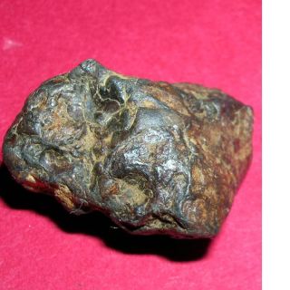 Sericho Pallasite Meteorite - 17.  9 Gram Individual