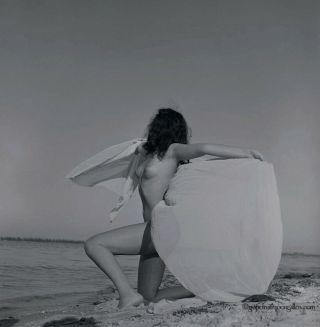 Bunny Yeager Pin - Up Camera Negative Ocean Side Rear View Nude