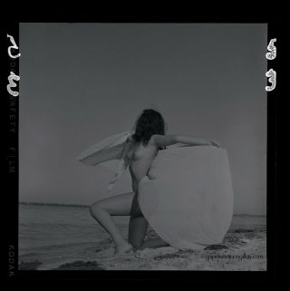 Bunny Yeager Pin - up Camera Negative Ocean Side Rear View Nude 2