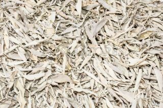 California White Sage Leaves Only Incense (2 Lb) Jc - 3