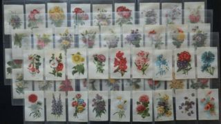 Complete Set Of Garden Flowers Of The World Issued By Itc 1913 Silks Cat $245.  00
