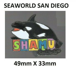 Seaworld San Diego Shamu Orque 1965 - 1971 Lapel Pin (with 2 Pins On Back) Ca