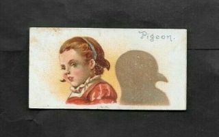 W.  Duke 1889 Scarce (shadows) Type Card  Pigeon - Shadows