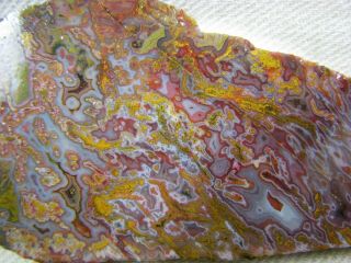 Apple Valley Agate Slab From Morocco For Cabbing And Polishing