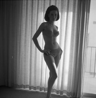 1960s Doris Nieh Negative,  Sexy Pin - Up Girl Stephanie Hill In Bikini,  N304232
