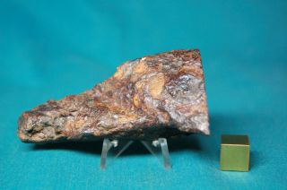 Sericho Pallasite meteorite 71.  6 grams 2
