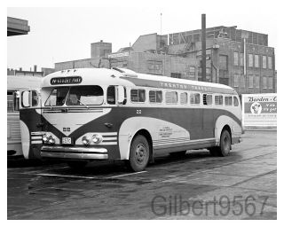 Trenton Transit (nj) 8 X 10 Bus Photo 22 Taken Circa 1950