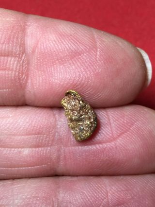 Natural Gold Nugget Specimen Bullion Placer So.  Oregon Carberry Creek.  95 Gram W1