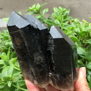 Natural Black/smoky Quartz Cluster Crystal Specimen Healing 458g