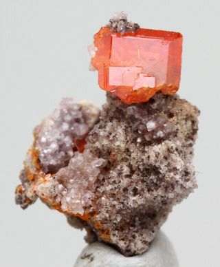 Rare Wulfenite Crystal Cluster Matrix Mineral Specimen La Paz Az Red Cloud Mine