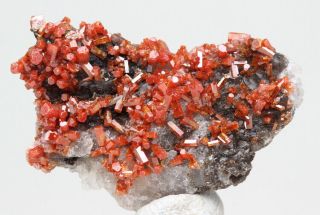 Vanadinite Crystal Cluster Mineral Specimen Red Gemstone La Paz Az Geronimo Mine