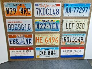 10 - Craft Mixed State License Plate 
