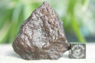 Franconia H5 Chondrite Meteorite 49.  3 grams with Blaine Reed Provenance 2