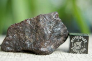 Franconia H5 Chondrite Meteorite 49.  3 grams with Blaine Reed Provenance 3