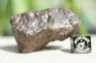 Franconia H5 Chondrite Meteorite 49.  3 grams with Blaine Reed Provenance 4