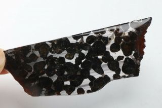 40g Rare Slices Of Kenyan Pallasite Meteorite Olive S8434