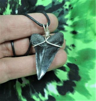 Mako Sharks Tooth Necklace 1 9/16  jewelry NO RESTORATIONS fossils 2