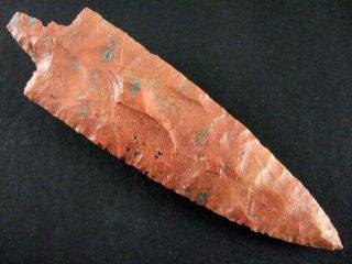 Fine Authentic 4 3/8 Inch Collector Grade Florida Newnan Point Arrowheads 5