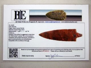 Fine Authentic 4 3/8 Inch Collector Grade Florida Newnan Point Arrowheads 6