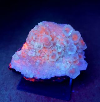 - Hexagonal Fluorescent Pink Calcite Crystals On Matrix,  Mine Mexico