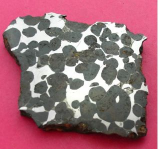 Sericho Pallasite Meteorite - 48.  2 Gram Polished Slice