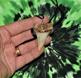 Mako Sharks Tooth Necklace 1 15/16  Inch Beauty No Restorations / Megalodon