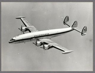 Lufthansa Lockheed Constellation D - Alak Large Vintage Airline Photo Lh