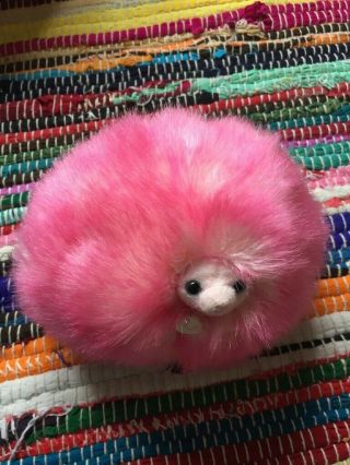 Harry Potter Pygmy Puff Plush Toy Collectable Wizarding World