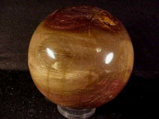 Rw " Petrified Wood Sphere " 3 1/2 " Diameter
