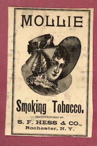 Rare Very Old Cigarette Tobacco Label Hess & Co Rochester N.  Y.  Mollie 413
