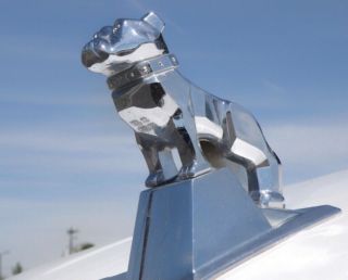 Mack Trucks Official Large Polished Chrome Oem Bulldog Hood Ornament