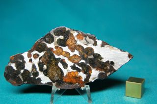 Sericho Pallasite Meteorite 48.  3 Grams