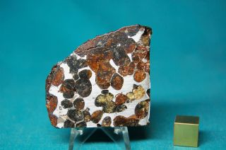 Sericho Pallasite Meteorite 53.  7 Grams