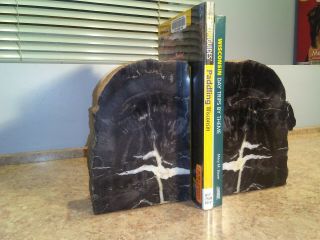 Arizona Petrified Wood Book Ends 7 x 5 3/4 x 2 2