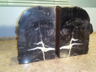 Arizona Petrified Wood Book Ends 7 x 5 3/4 x 2 4