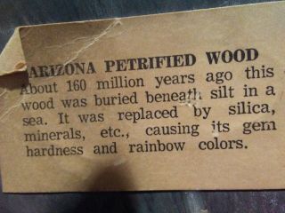 Arizona Petrified Wood Book Ends 7 x 5 3/4 x 2 7