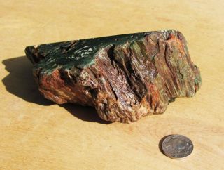 Cut & Polished Green Hampton Butte Petrified Wood Specimen 1 lb 8 Oz 2