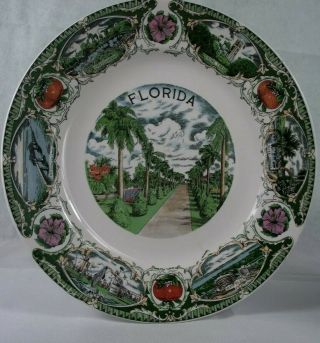 Unique Vintage Florida State Souvenir Plate Great Colors