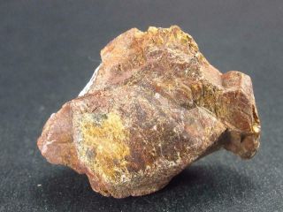 Rare Monazite (ce) Crystal From Madagascar - 1.  0 "