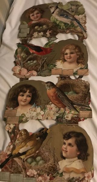 Vintage Victorian Hanging Calendar 1905 Girls,  Birds Cardboard