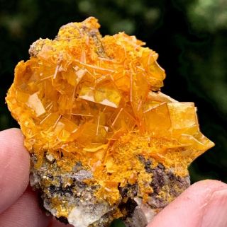 WULFENITE MIMETITE Crystal Cluster Mineral Specimen Rowley Mine AZ Gem Crystals 2
