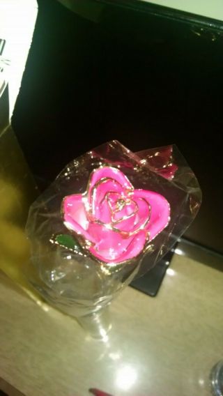 Real Rose By Steven Singer Jewelers Preserved & Dipped In 24 Karat Gold