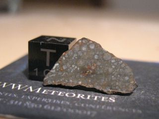 Meteorite Nwa 11541 - Carbonaceous Chondrite Type Cv3 - Slice