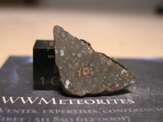 Meteorite NWA 11541 - Carbonaceous Chondrite type CV3 - Slice 2