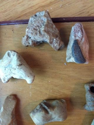 8 Indian Artifact Pendant Bird Stone Effigy Southern Missouri Osage