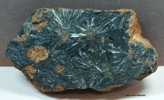 Kerchenite Display Mineral Specimen 4.  25 X 2.  50 X 1 Inches.  9.  8 - Ozs From Russia