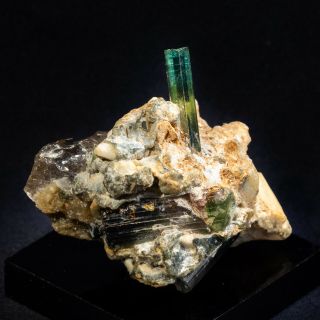 Gemmy Bi - Color Tourmaline Crystals On Quartz - Paprok,  Kunar Prov. ,  Afghanistan