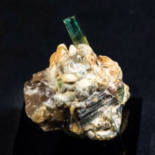GEMMY Bi - Color Tourmaline Crystals on Quartz - Paprok,  Kunar Prov. ,  Afghanistan 2